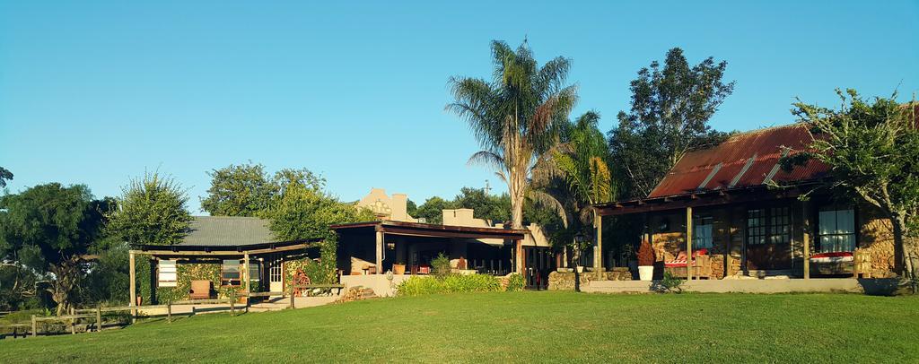 Plettenberg Bay Game Reserve: The Baroness Safari Lodge Exterior foto